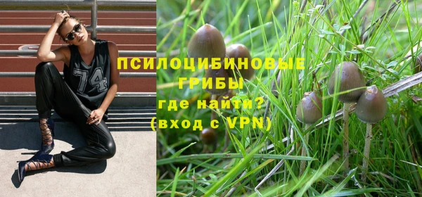 гидра Пестово
